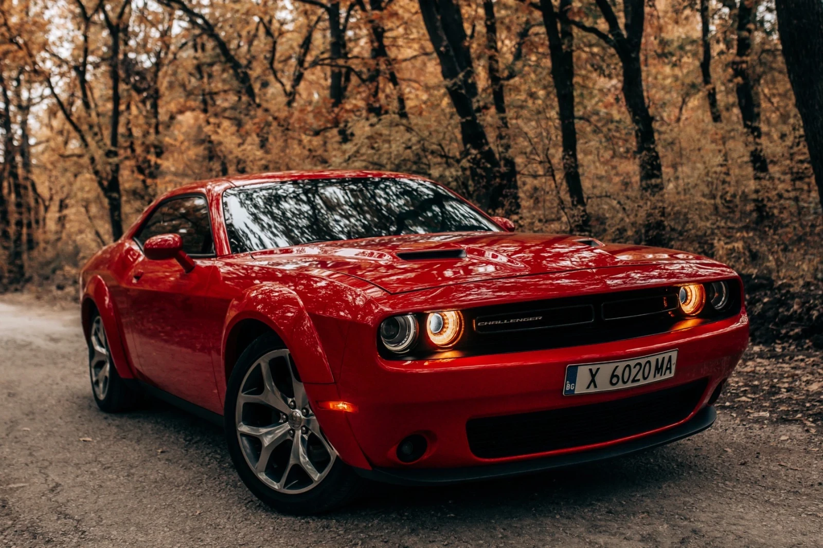 Dodge Challenger  - изображение 4