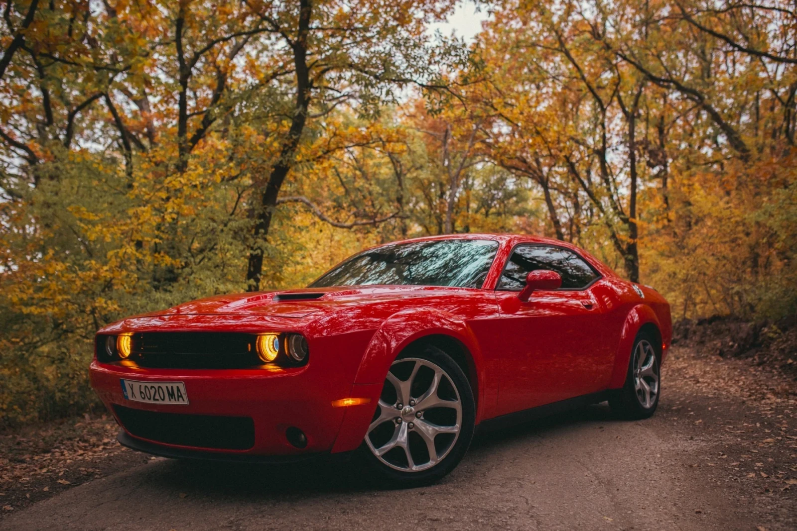 Dodge Challenger  - изображение 3