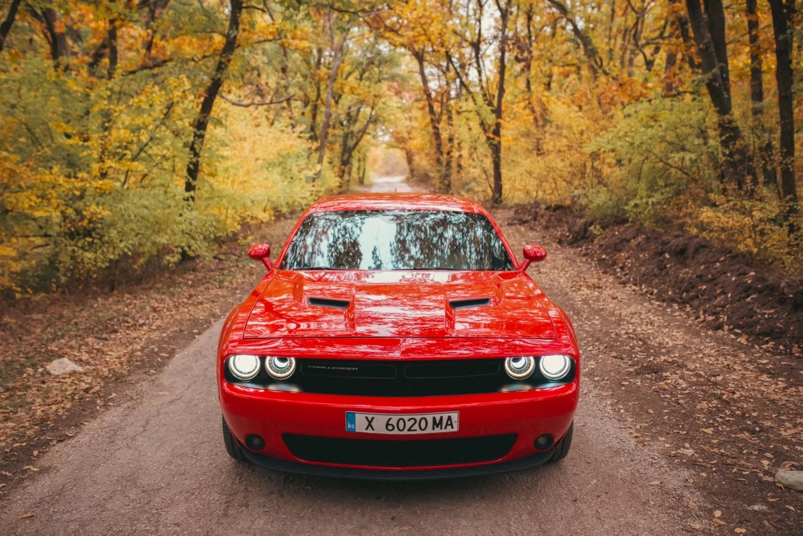 Dodge Challenger  - изображение 8