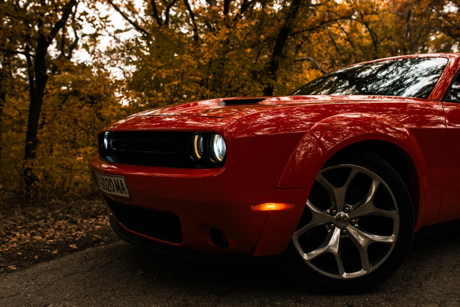 Dodge Challenger  - изображение 5