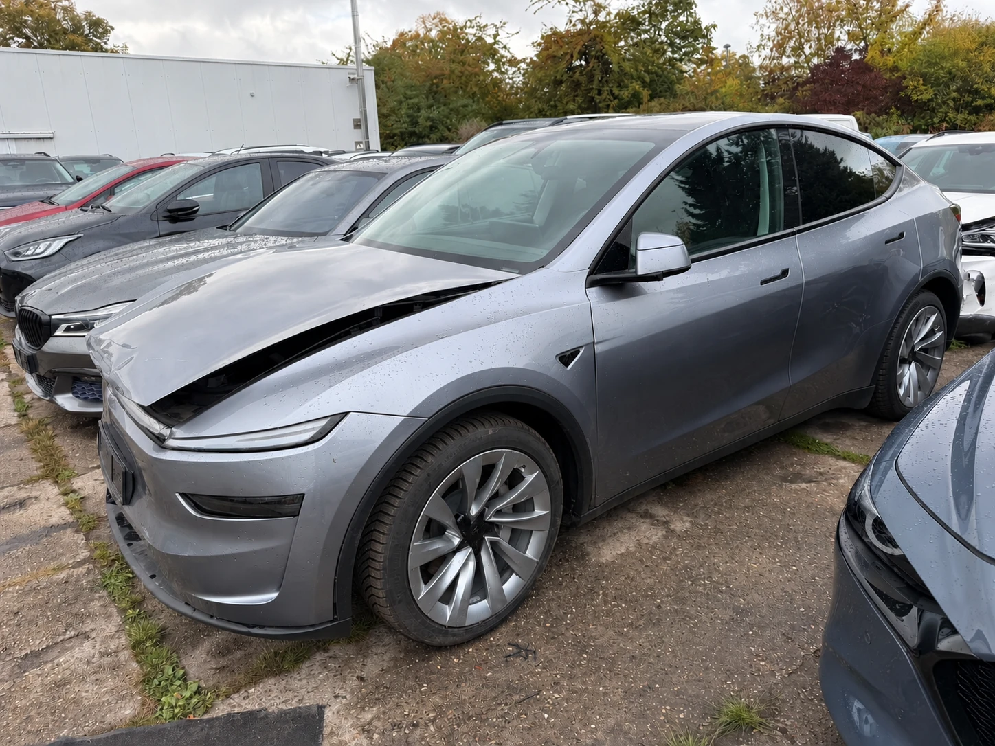 Tesla Model Y Dual Motor ОЧАКВАМ ВНОС ГАРАНЦИЯ 