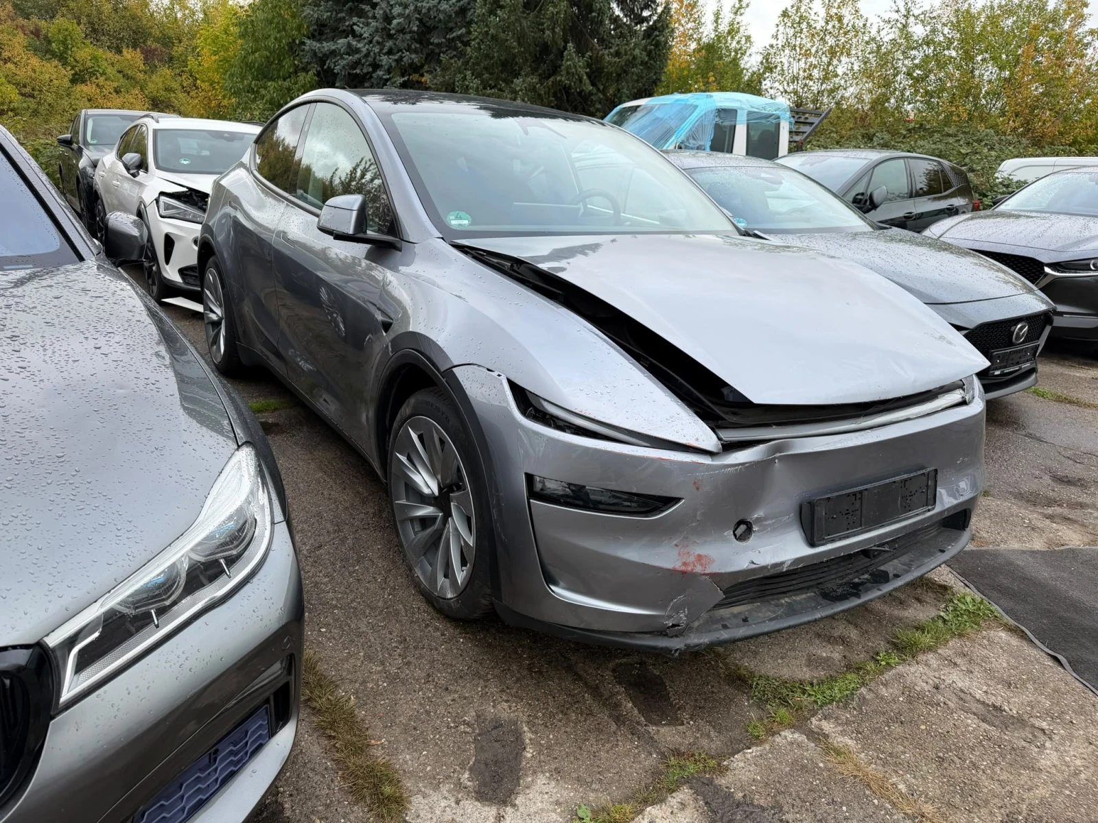 Tesla Model Y Dual Motor ������� ���� ��������  | Mobile.bg � ����������� 2