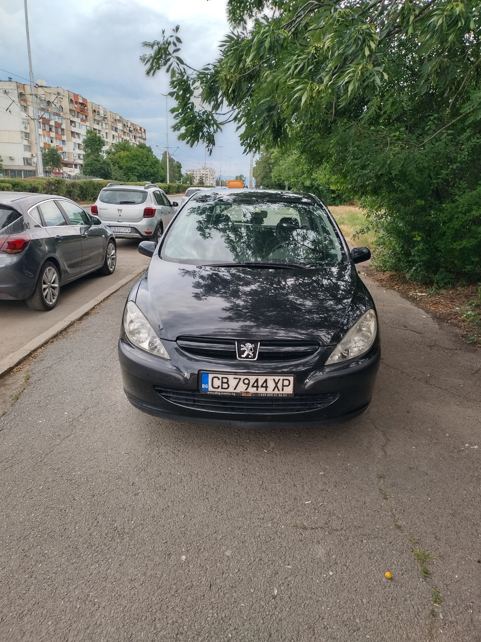 Peugeot 307 1.6, снимка 3 - Автомобили и джипове - 55207900