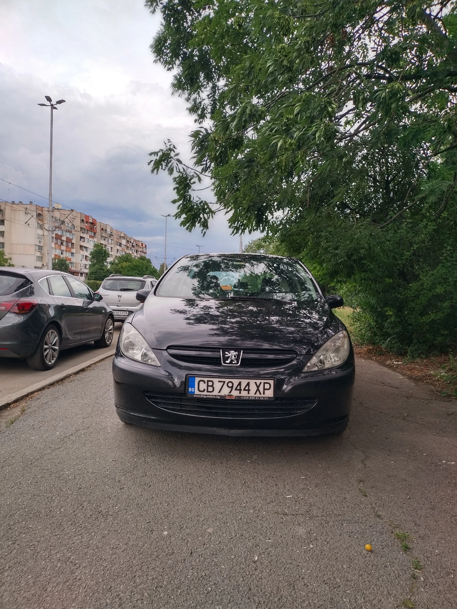 Peugeot 307 1.6, снимка 2 - Автомобили и джипове - 55207900