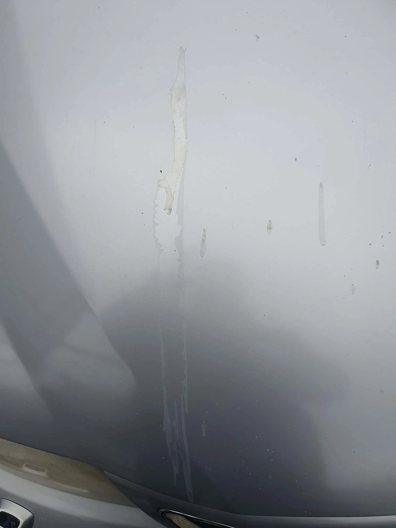 Saab 9-3 Vektor, снимка 11 - Автомобили и джипове - 54027098