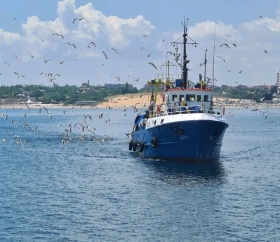 Лодка Baltic undefined | Auto.bg — изображение 4