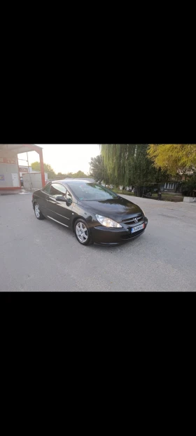 Peugeot 307 307 CC, снимка 1