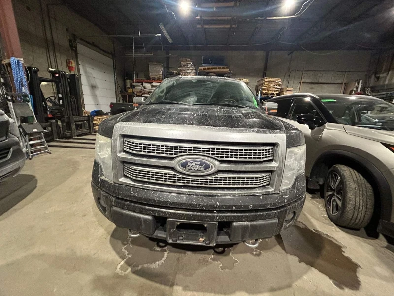 Ford F150 5.4i v8 PLATINUM, снимка 7 - Автомобили и джипове - 48797031