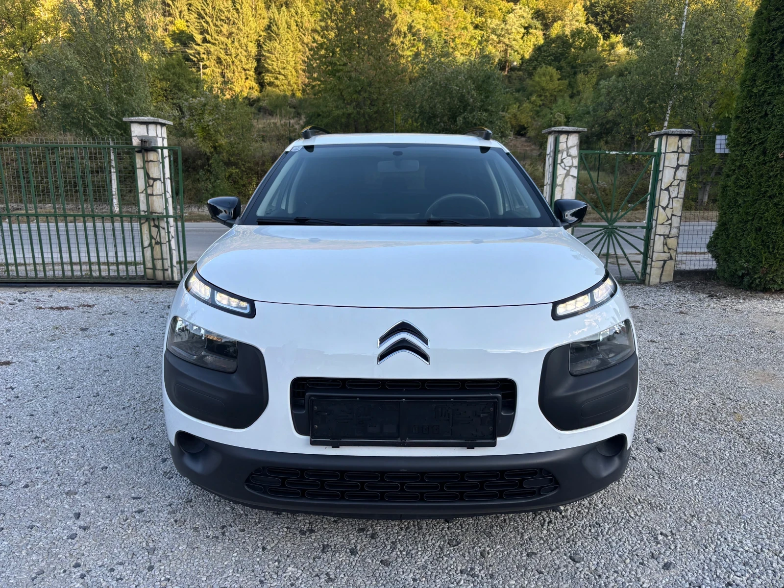 Citroen C4 Cactus 1.6 BHDI РЪЧКА EURO 6, снимка 3 - Автомобили и джипове - 56338107