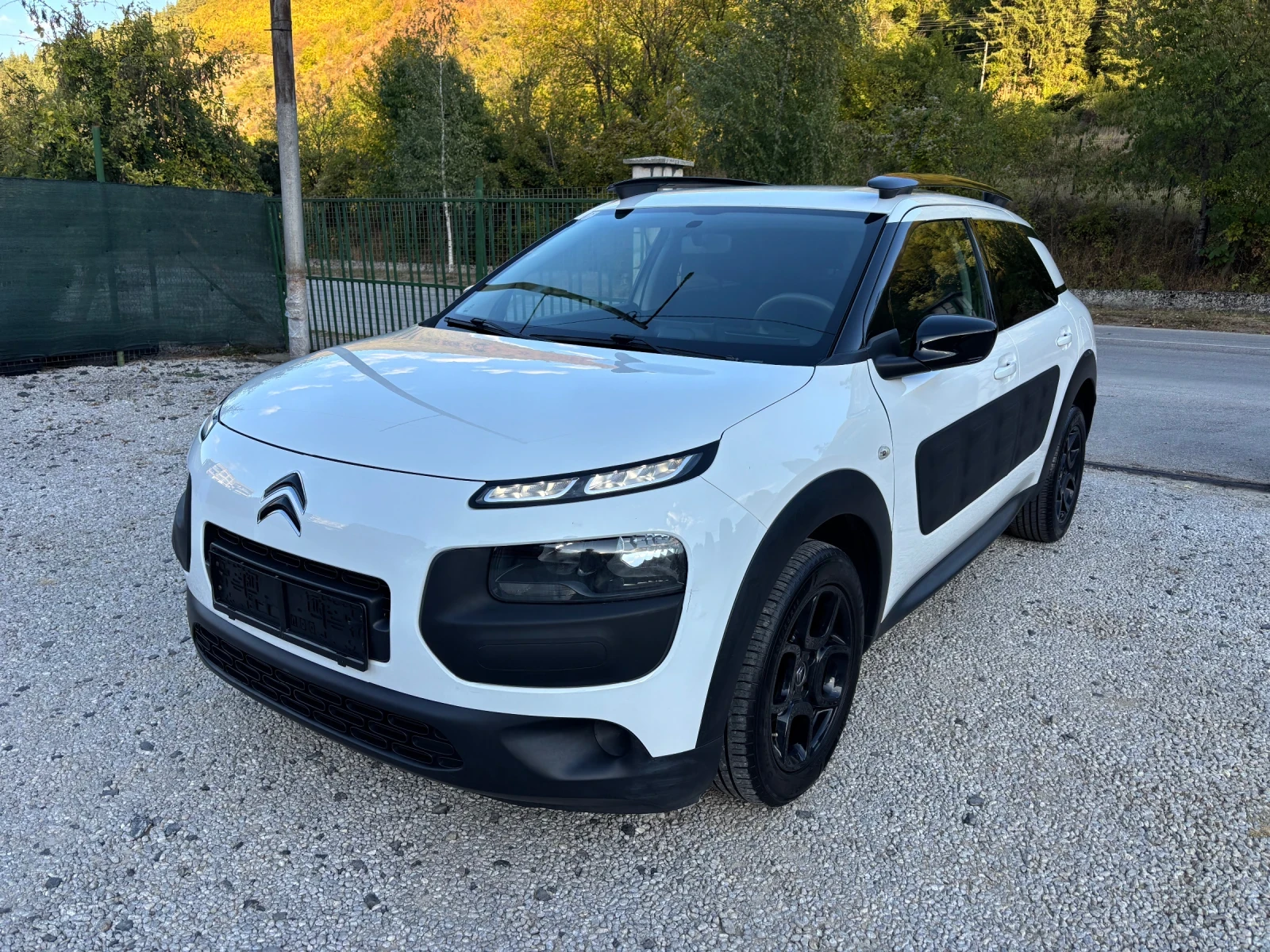 Citroen C4 Cactus 1.6 BHDI РЪЧКА EURO 6