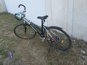 ������� Orlando | Mobile.bg � ����� ������ 7