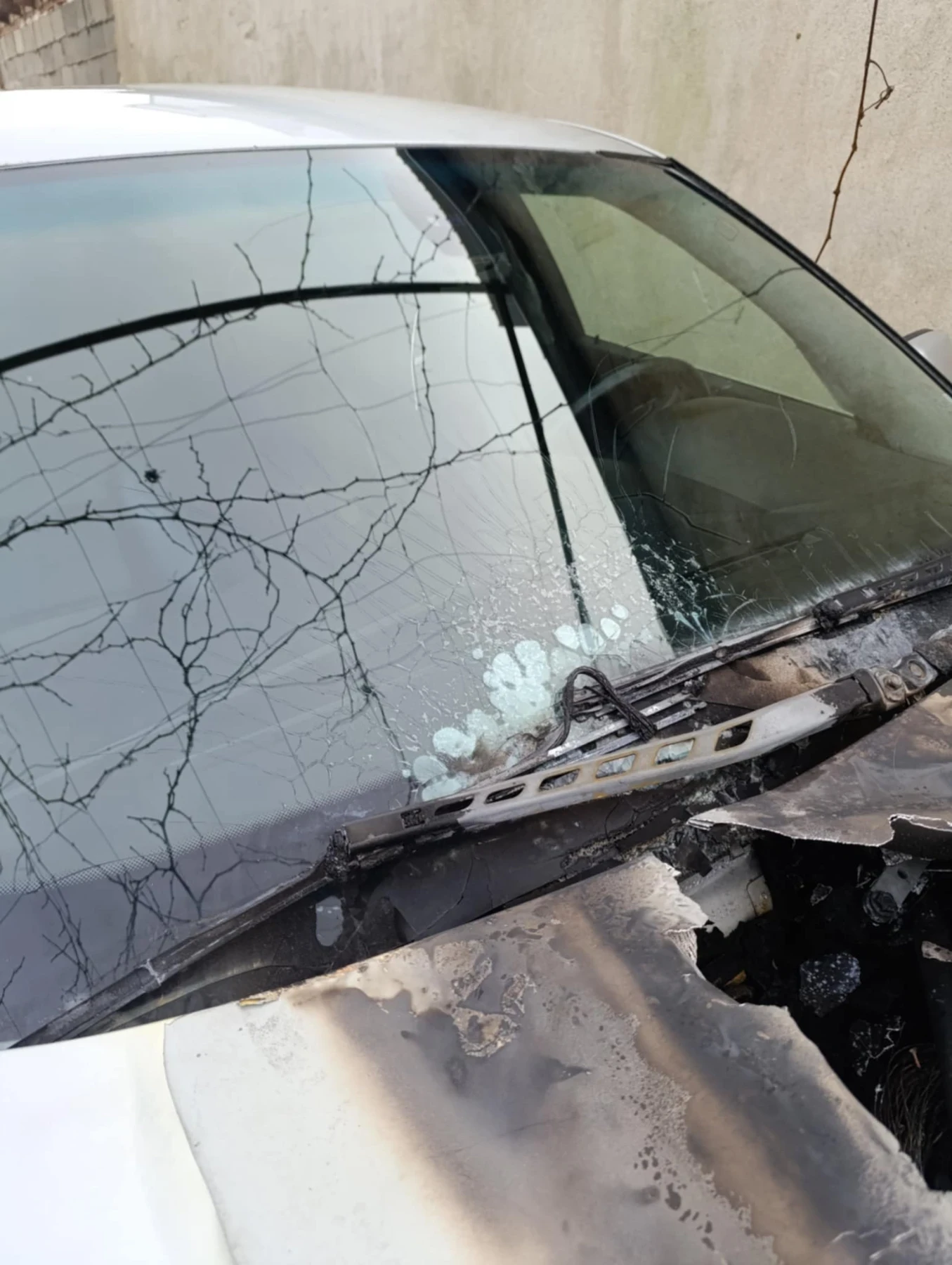 BMW 520, снимка 5 - Автомобили и джипове - 53978358