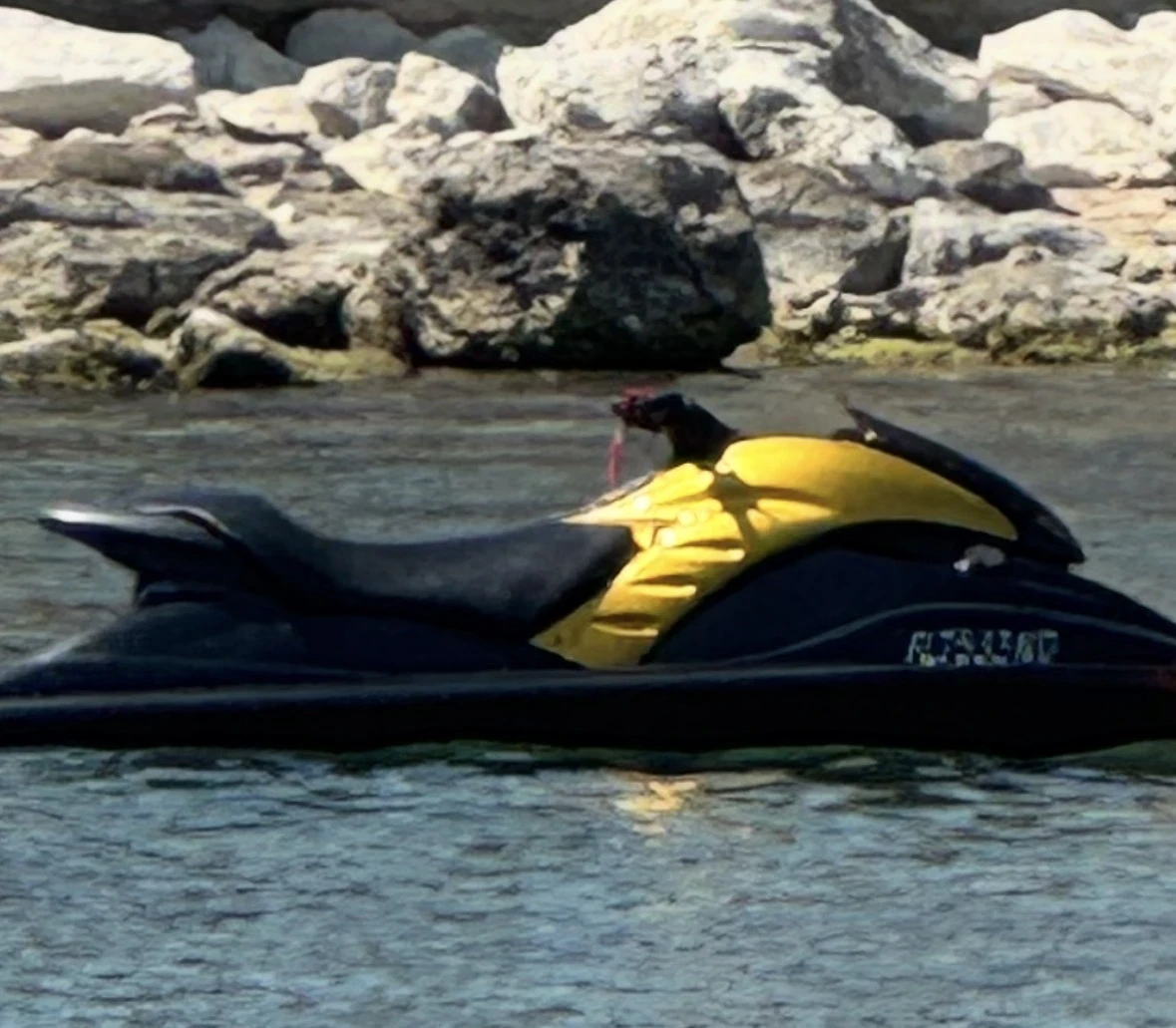  Yamaha GP1300 | Mobile.bg   1