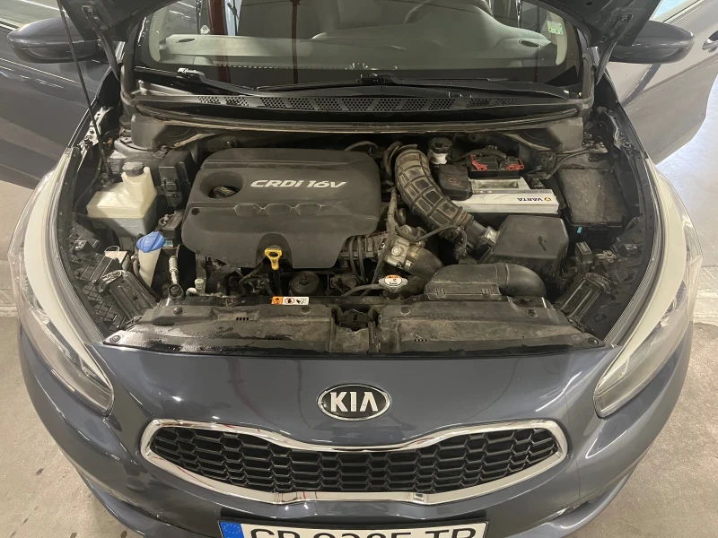 Kia Ceed, снимка 1 - Автомобили и джипове - 47183386