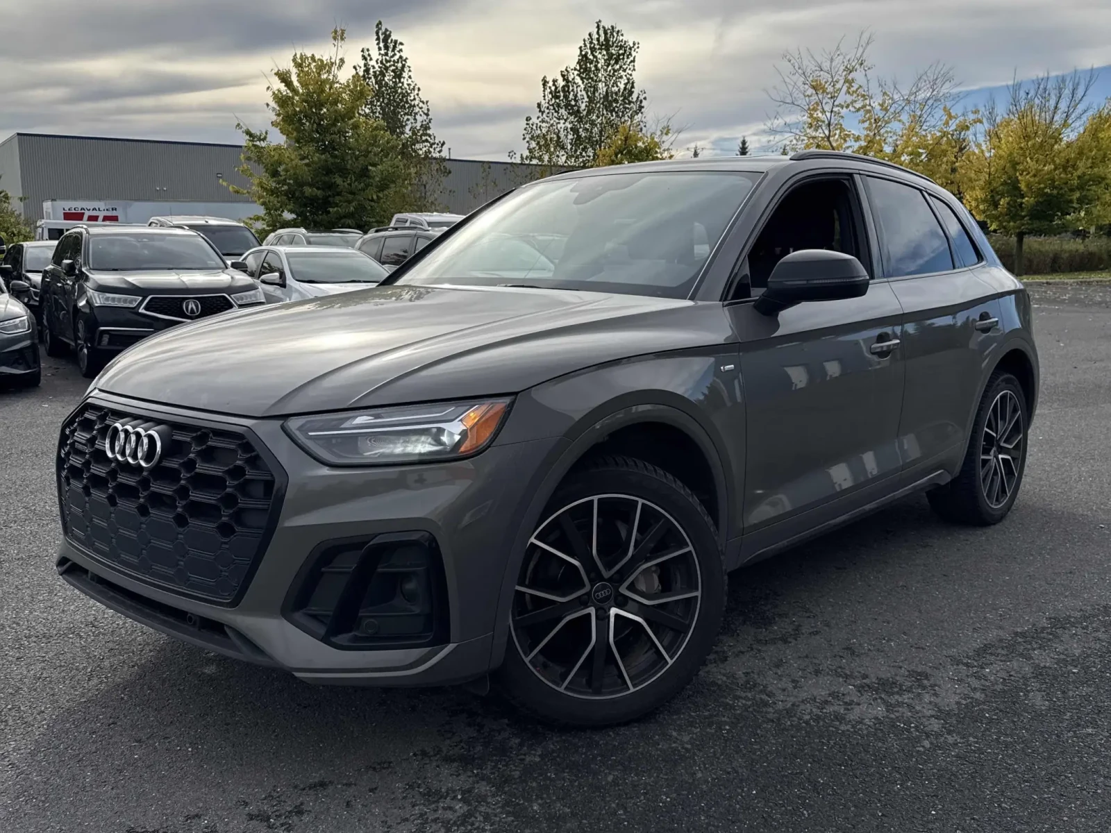 Audi Q5 Progressiv  Nardo grey  /  Distronic / Лизинг