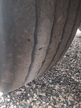 Полуремарке Benalu OPTILINER 106, снимка 16