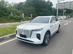 ������ HongQi E-HS9