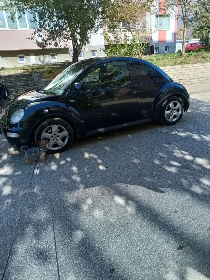 VW Beetle, снимка 6 - Автомобили и джипове - 47777717