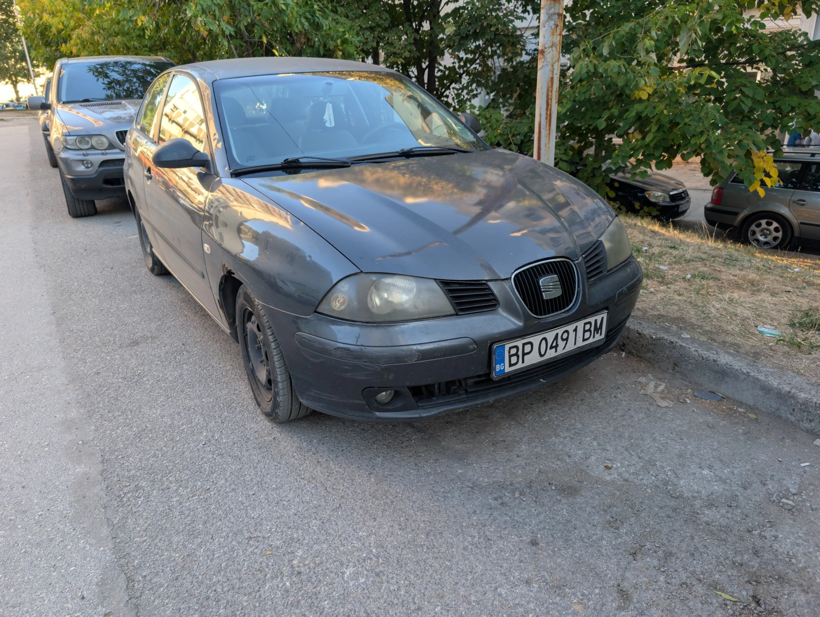 Seat Ibiza  - изображение 2