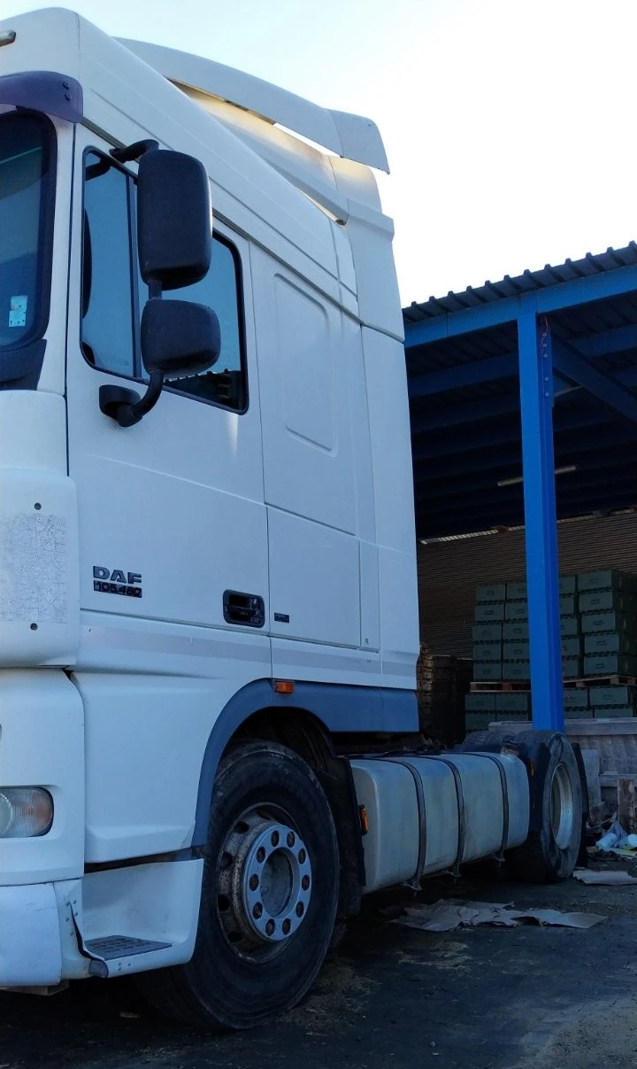 Daf XF 105 460 - изображение 2