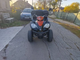 Sym Quadlander E-TON 300 | Mobile.bg    8