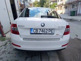 Skoda Octavia 1.6 TDI Ambition | Mobile.bg    4