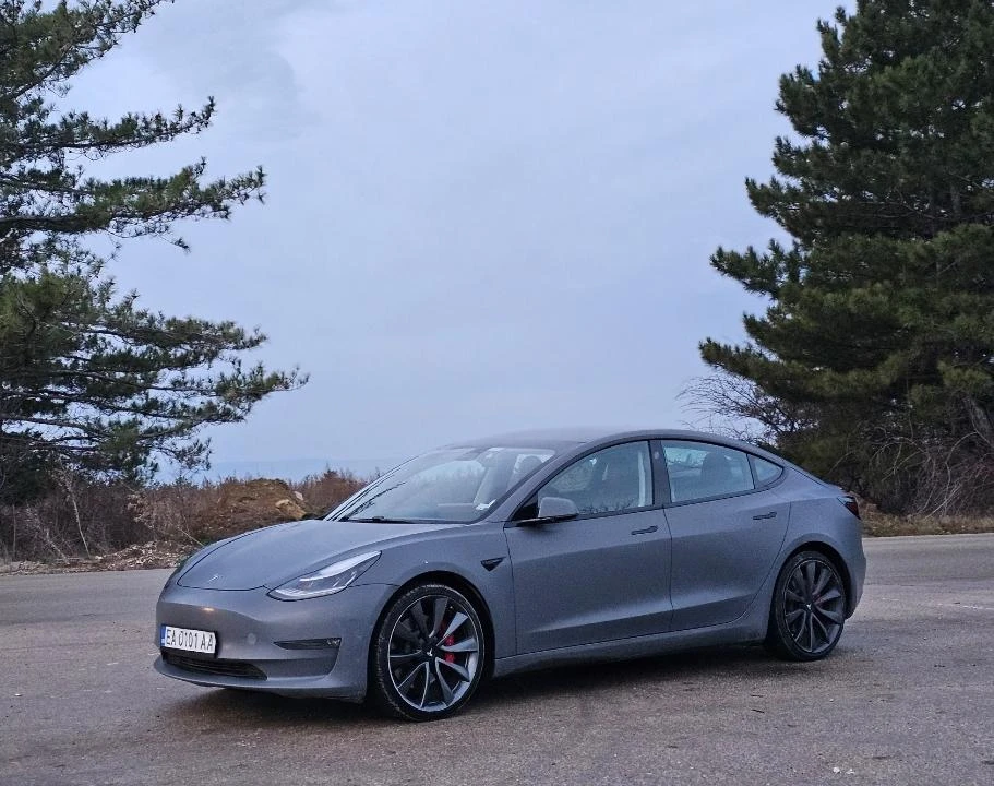 Tesla Model 3 Performance EU - изображение 2