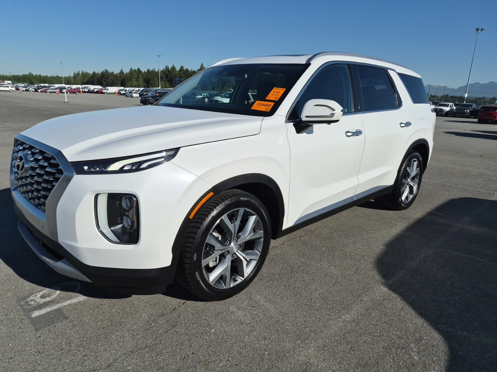 Hyundai Palisade LUXURY