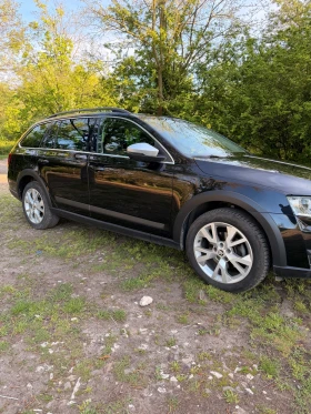 Skoda Octavia SCOUT  - 13200 € / 25816.96 лв. - 15924320 2