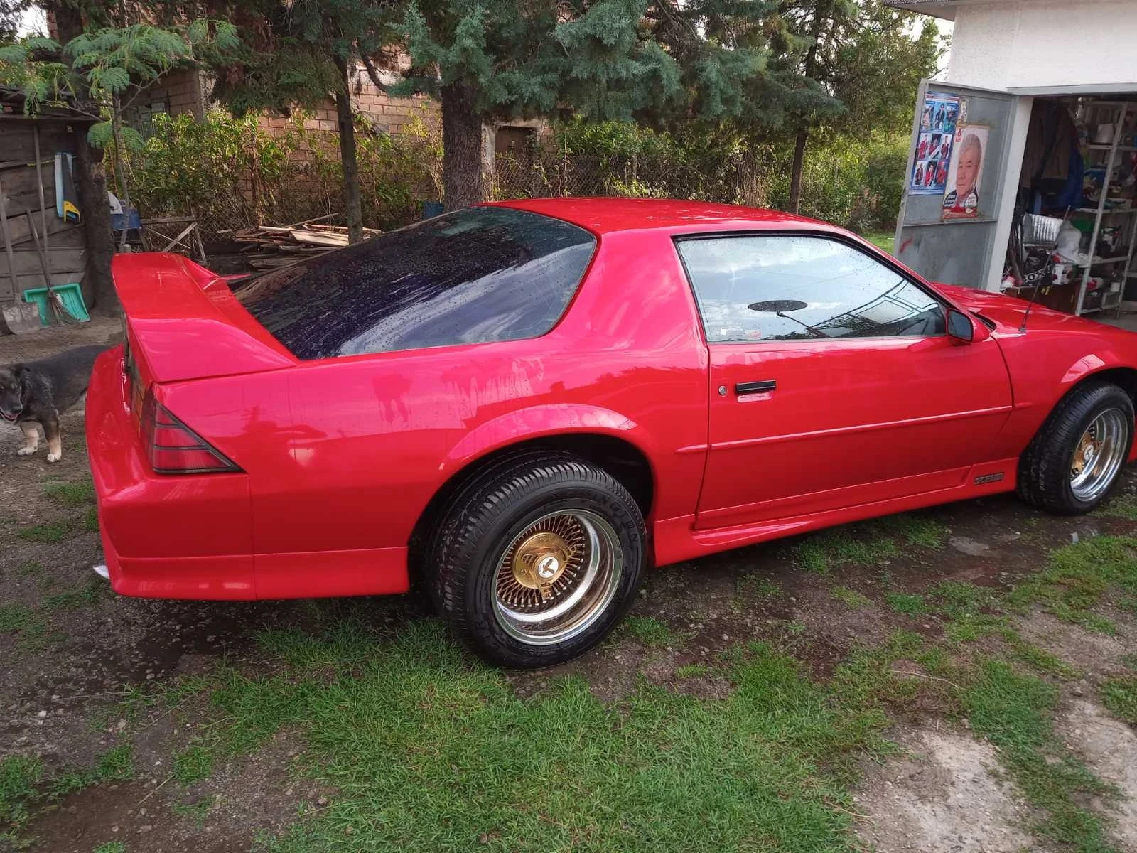 Chevrolet Camaro Z28 5700, снимка 6 - Автомобили и джипове - 54639290