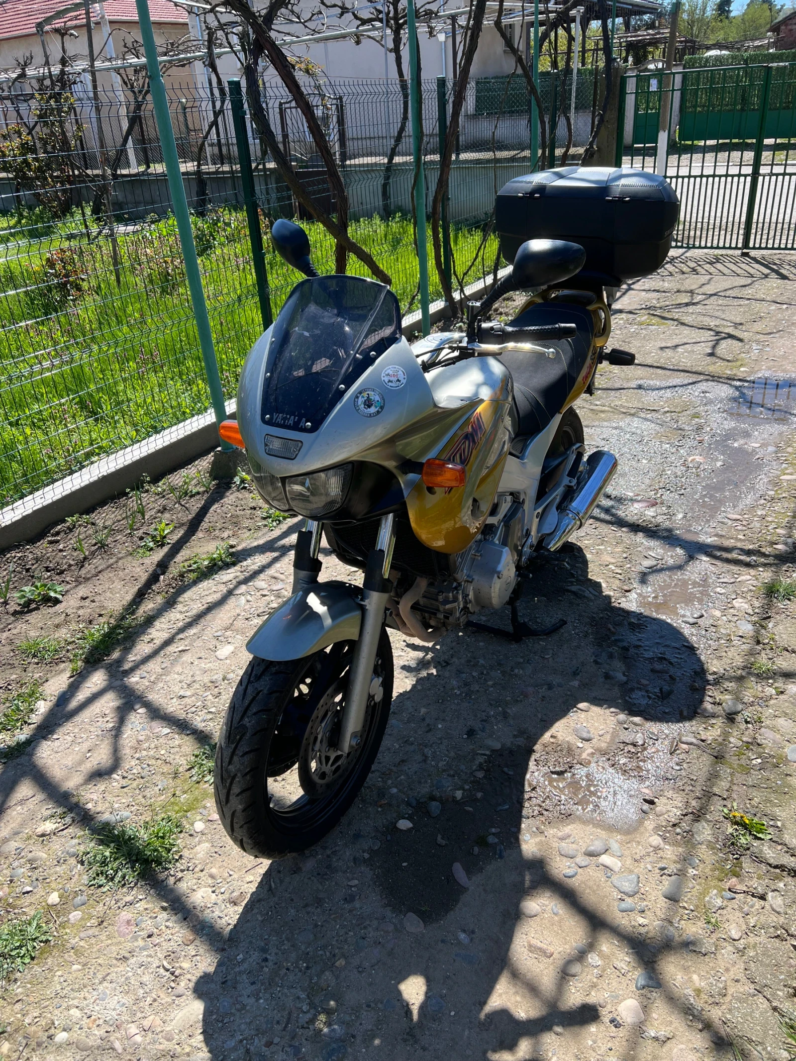 Yamaha Tdm  - изображение 2