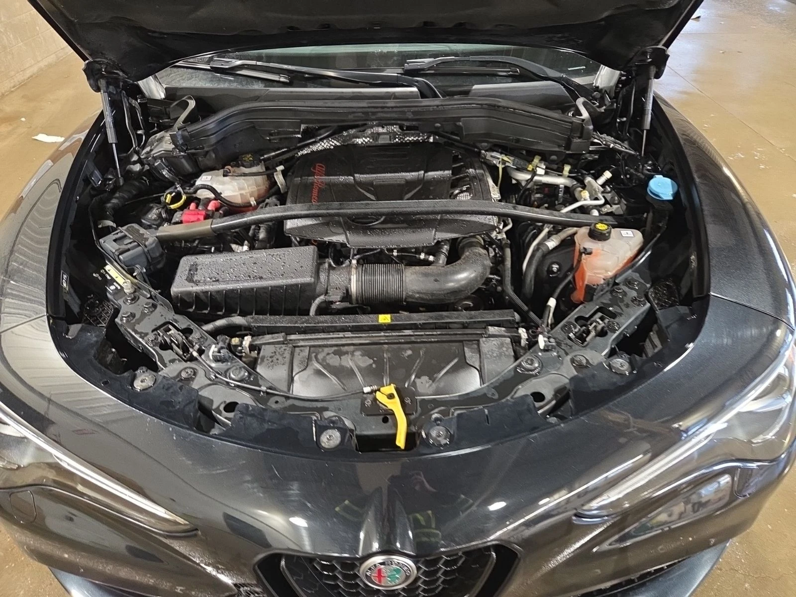 Alfa Romeo Stelvio * VELOCE * 2 �����* �������* KEYLESS*  | Mobile.bg � ����������� 16