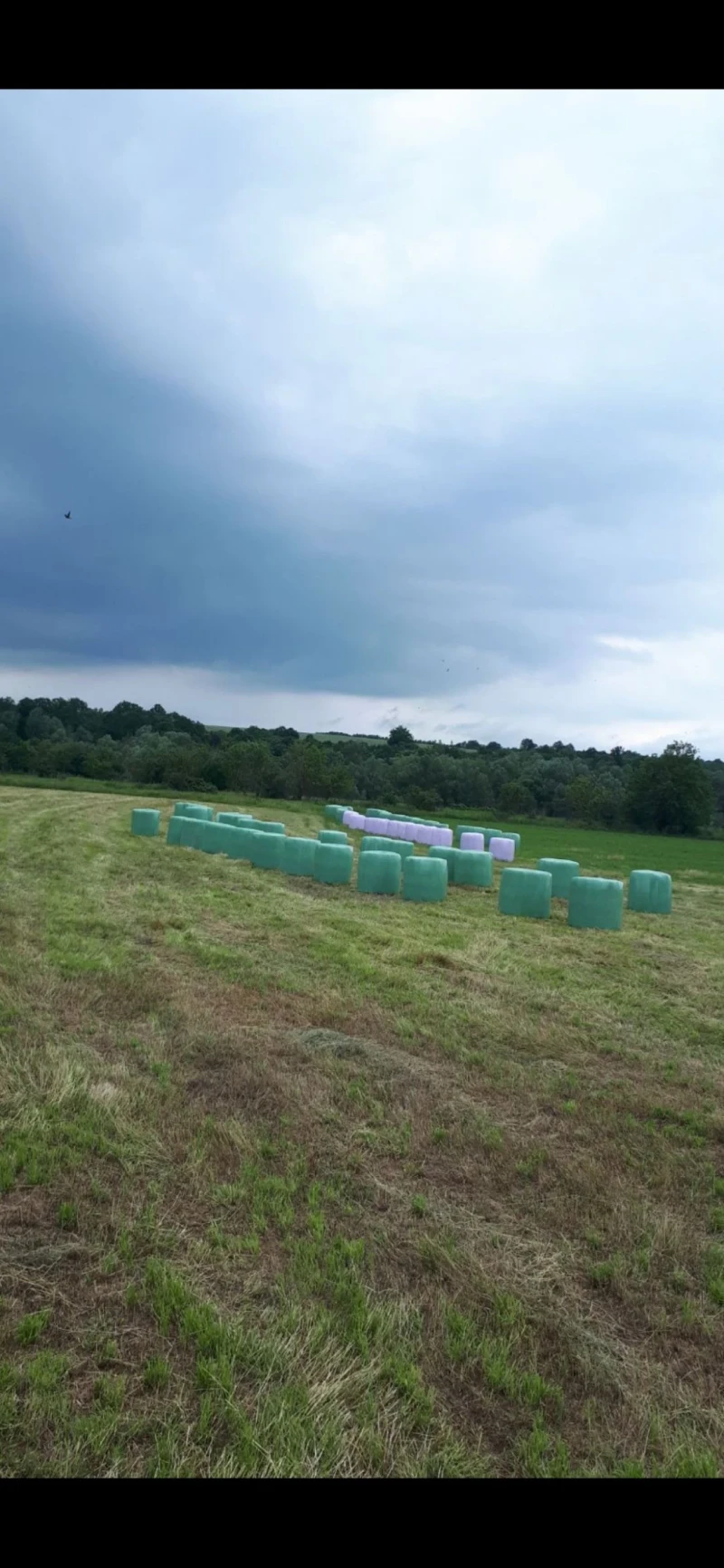 Балировачка John Deere PRONAR Z245 Фолираща машина, снимка 5 - Селскостопанска техника - 52327020