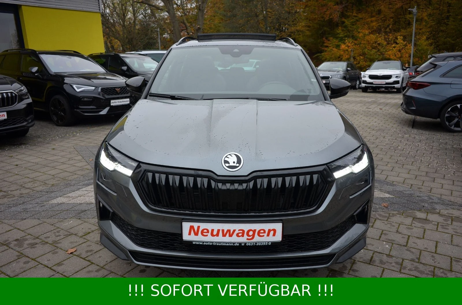 Skoda Karoq 2.0 TSI DSG 4x4 Sportline - изображение 6