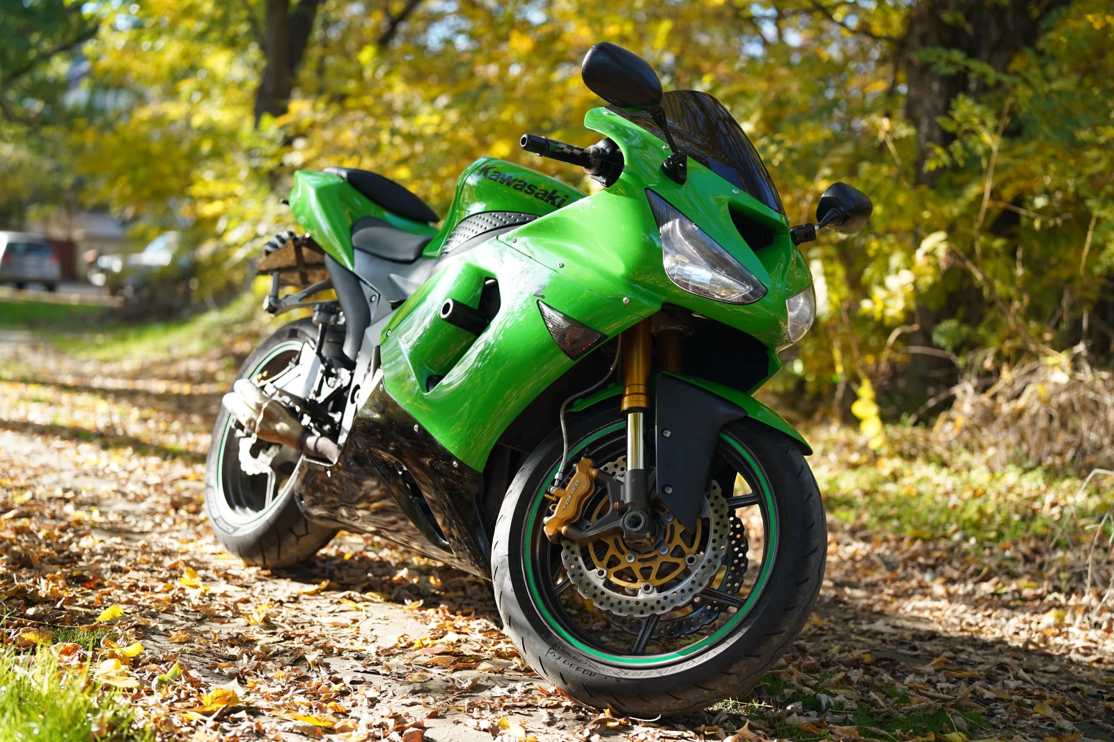 Kawasaki Ninja, снимка 1