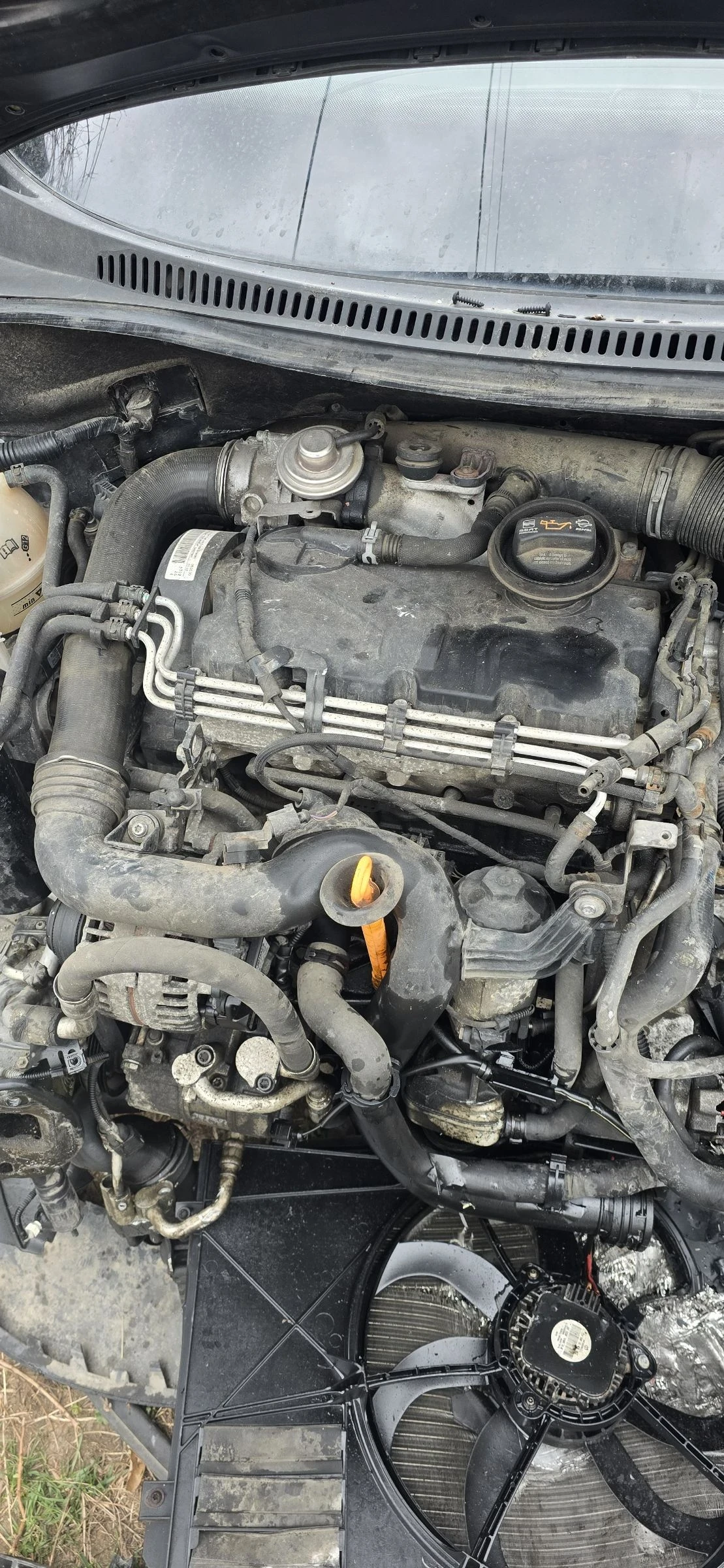 Seat Altea | Mobile.bg � ����������� 4