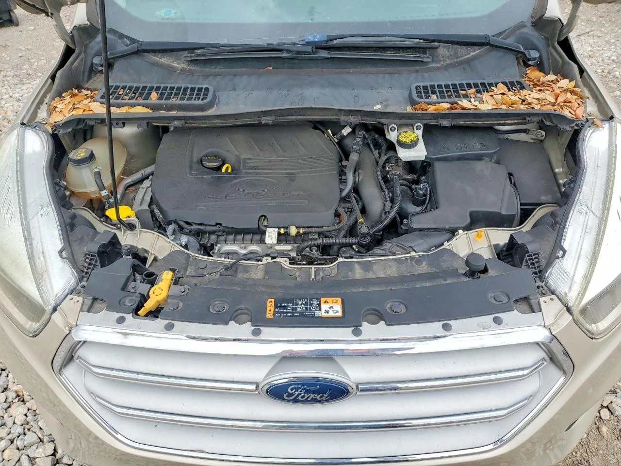 Ford Escape Se | Mobile.bg � ����������� 11