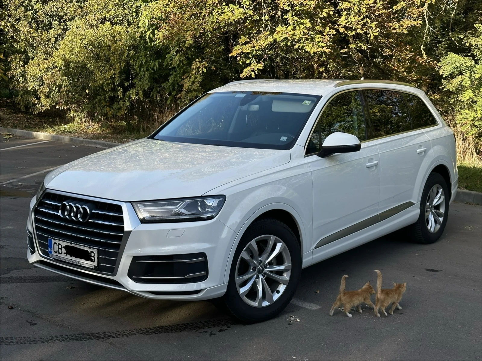 Audi Q7 3.0TDi Quattro - [1] 