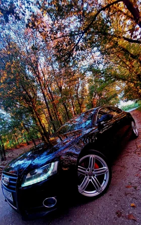 Audi A5 2.7 TDI, Sportback * S Line* B&O* Кожа* Панорама - 10000 € / 19558.30 лв. - 85735672 12