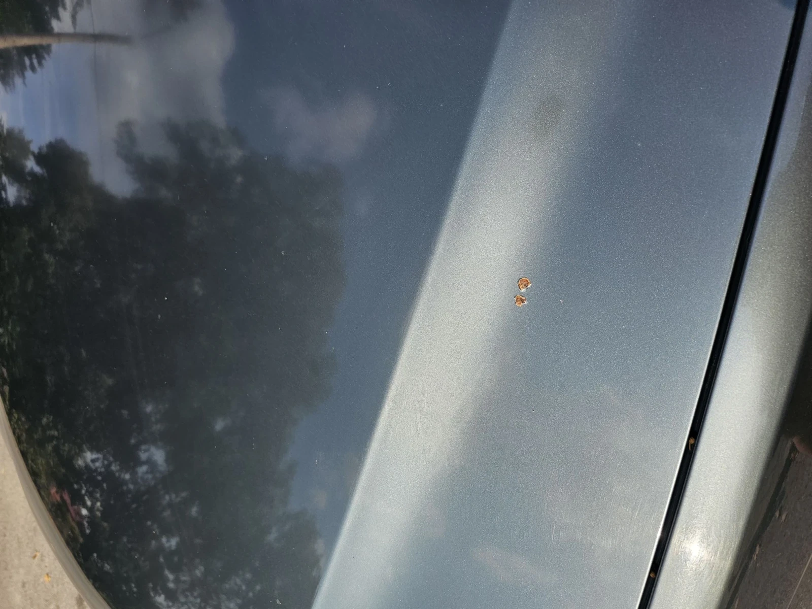 BMW 525 | Mobile.bg — изображение 11