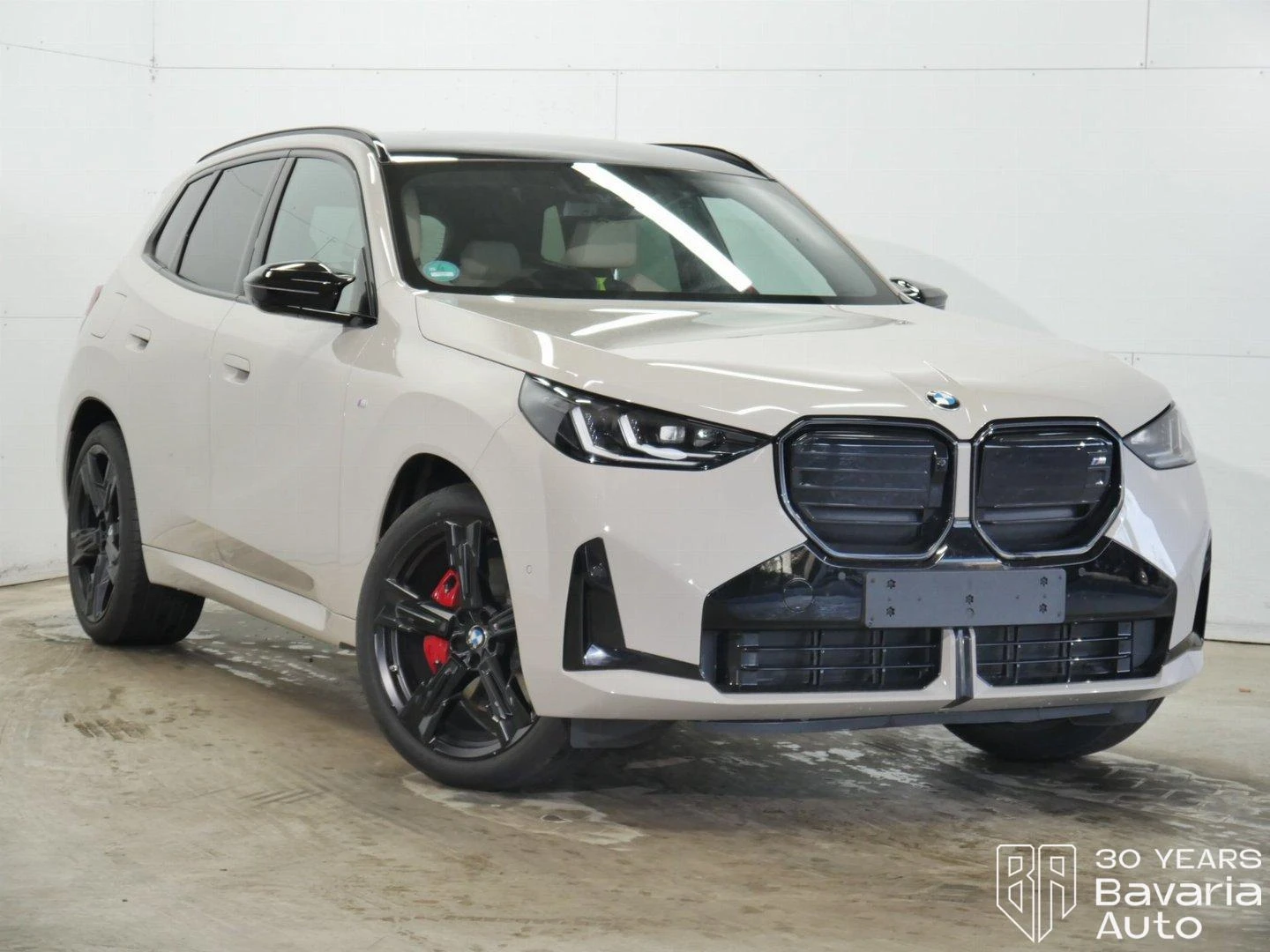 BMW X3 M50 xDrive Steptronic - изображение 4