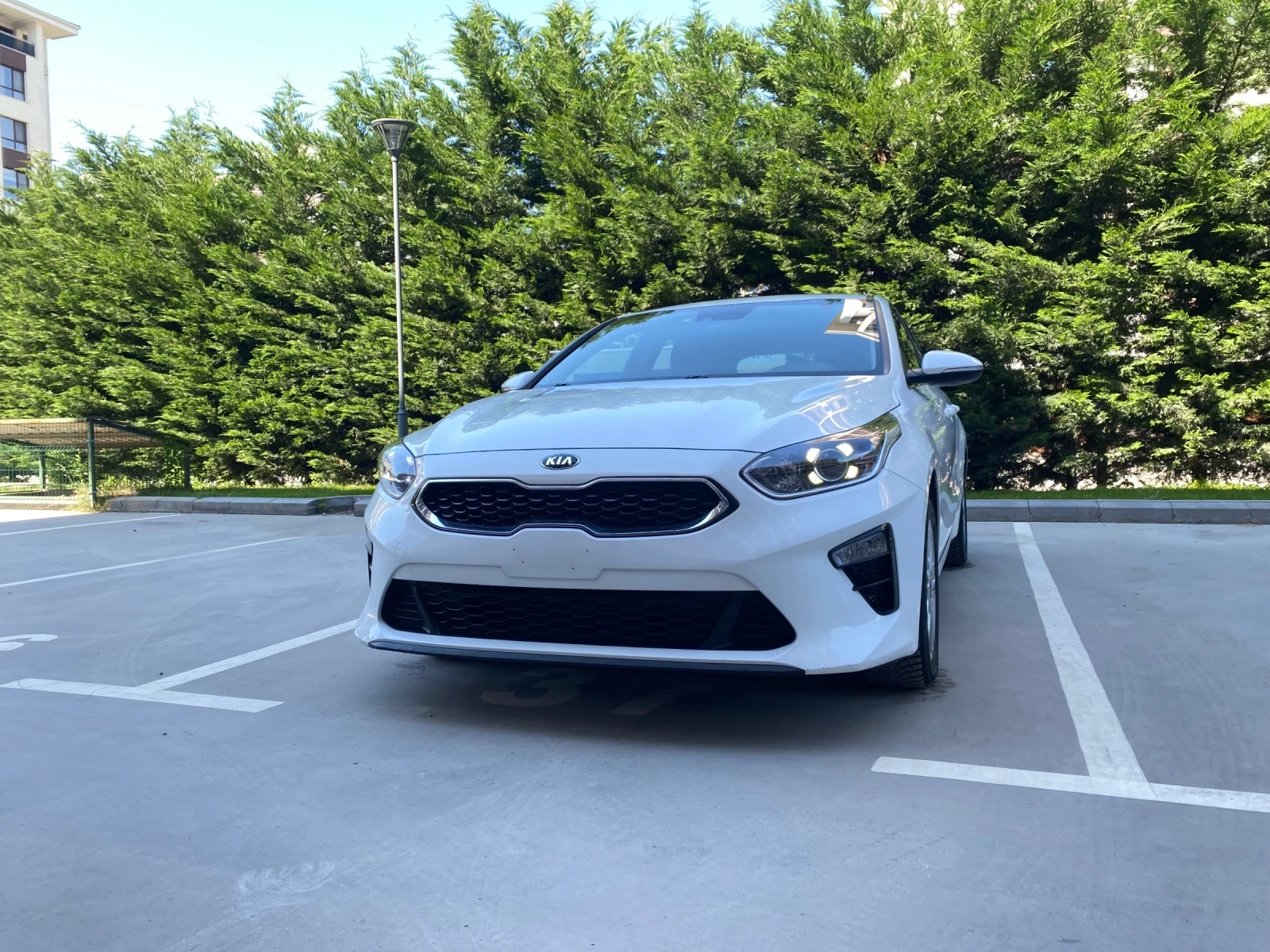 Kia Ceed EXCLUSIVE  - изображение 2