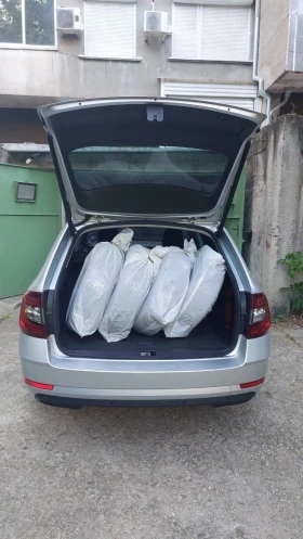 Обява за продажба на Skoda Octavia 1.6TDI-115ps-Нов внос от Германия - КАТО НОВА !!! ~20 500 лв. - изображение 6