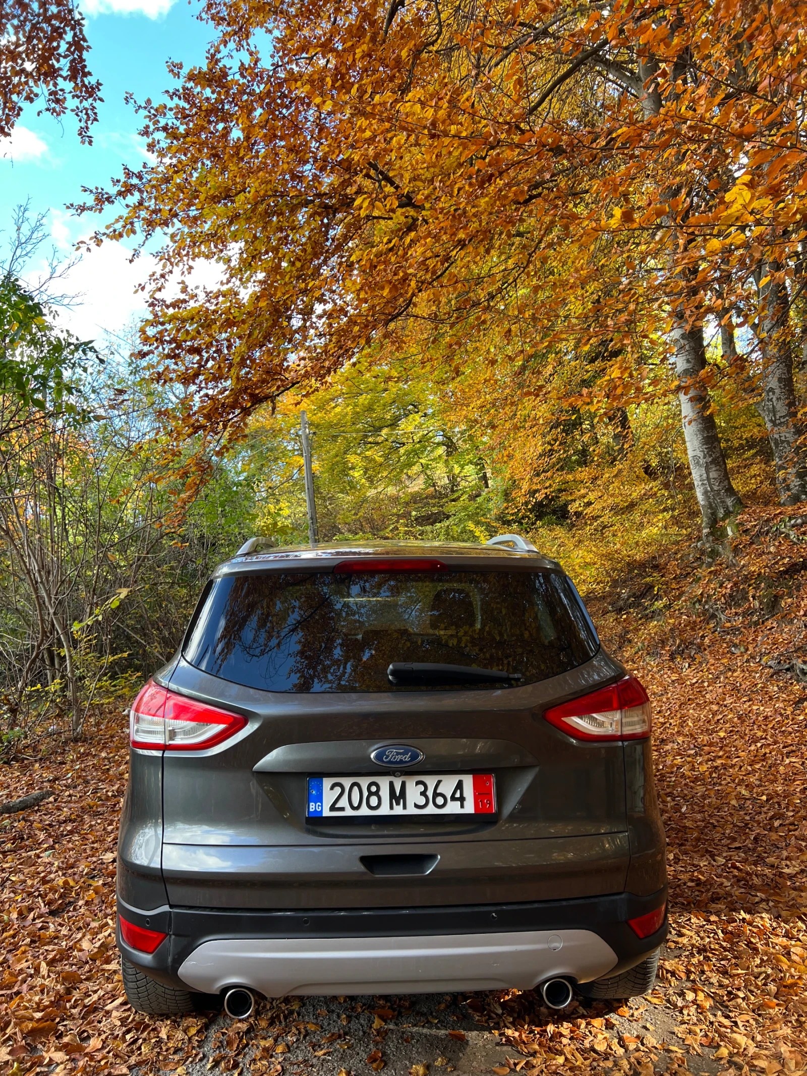 Ford Kuga 2.0 Sport/Camera/Top | Mobile.bg   5