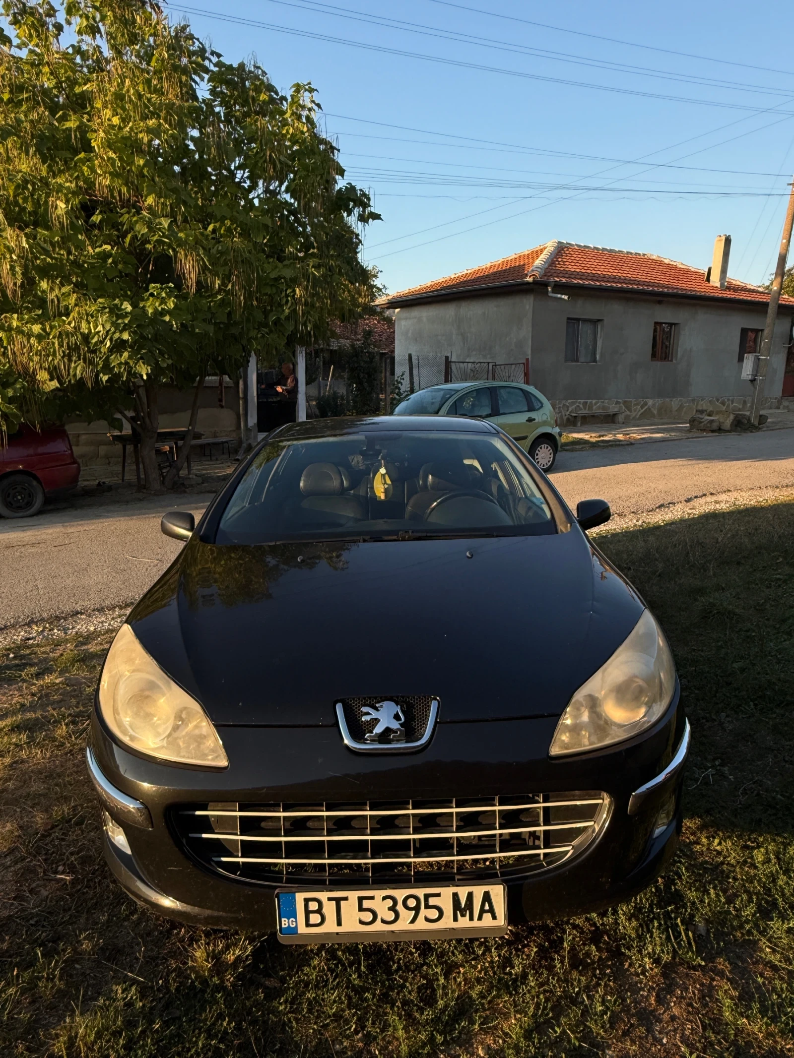 Peugeot 407