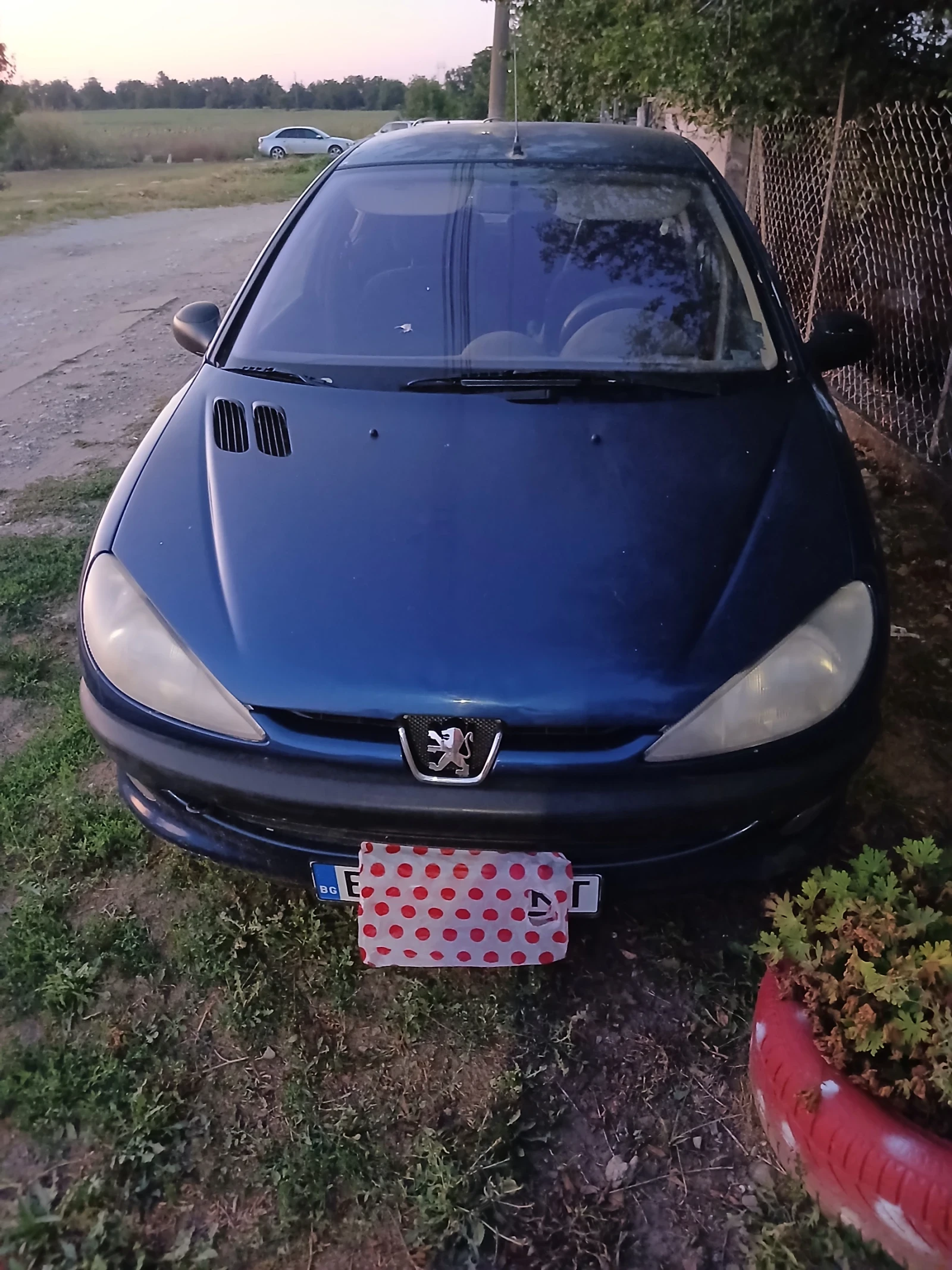 Peugeot 206 1.9D, снимка 3 - Автомобили и джипове - 55618761