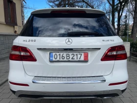 Mercedes-Benz ML 250 CDI#204KC#4MATIC#7G-TRONIC#2014Г#KATO HOB!, снимка 3