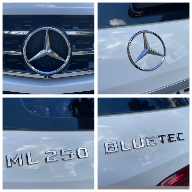 Mercedes-Benz ML 250 CDI#204KC#4MATIC#7G-TRONIC#KATO HOB!, снимка 13 - Автомобили и джипове - 53523611