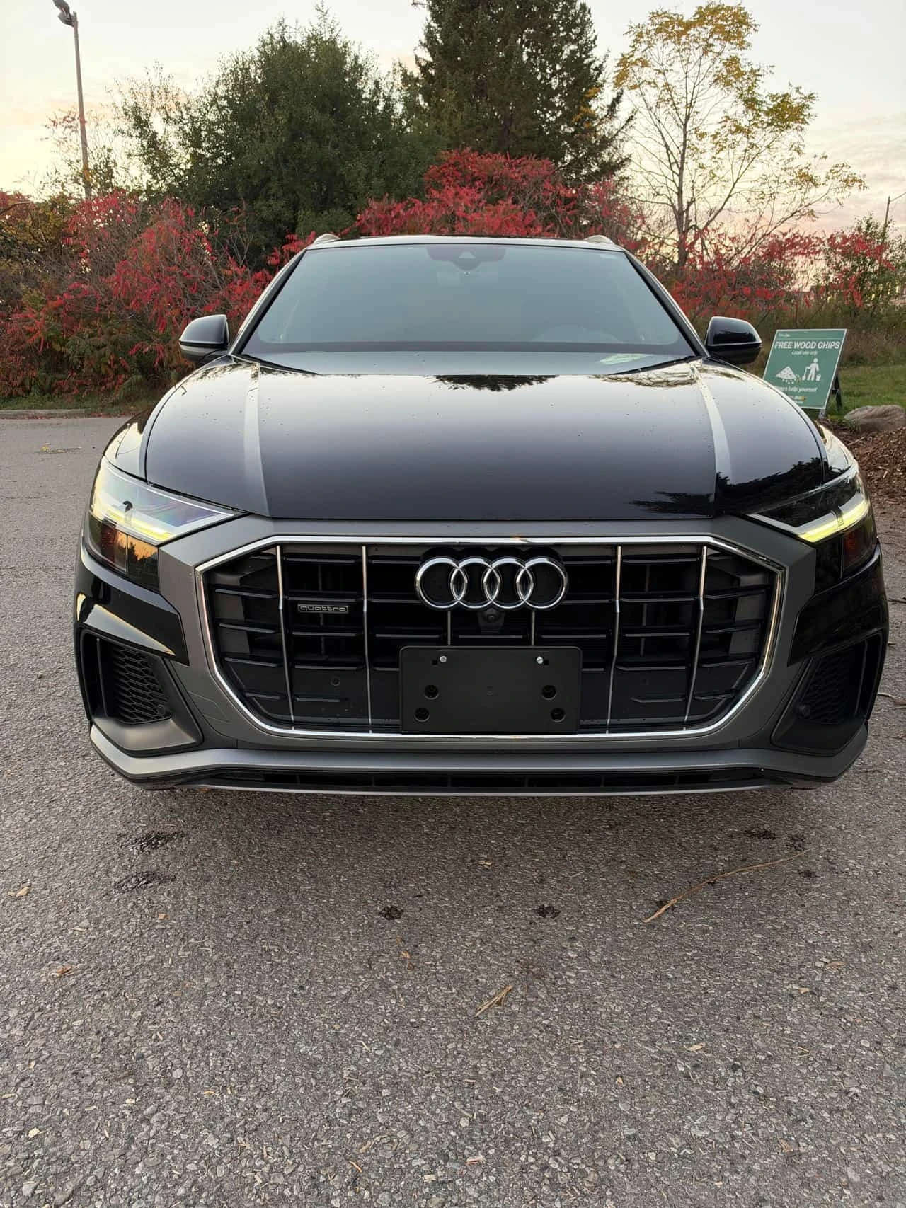 Audi Q8 * Progressiv * CARFAX * ЦЕНА ДО БГ, снимка 3 - Автомобили и джипове - 56599720