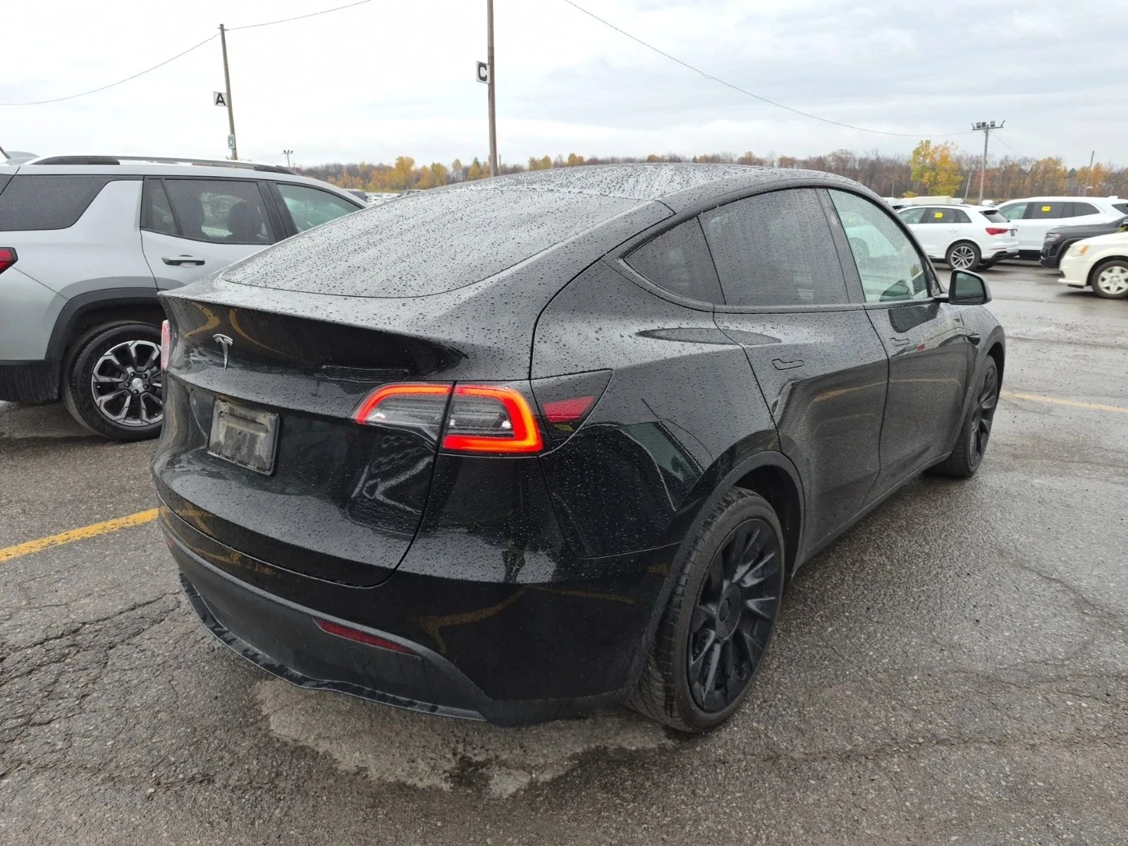 Tesla Model Y, снимка 3 - Автомобили и джипове - 56716945